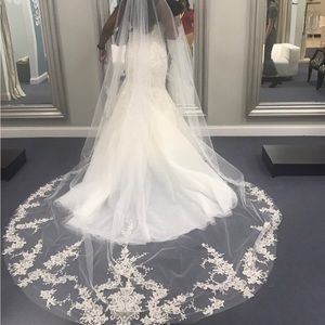 Essence of Australia Cathedral Veil style AVL2417